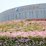 MPLC石炭館つつじ開花情報（4月15日更新）