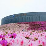 MPLC石炭館つつじ開花情報（4月18日更新）